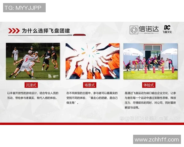 飞盘热潮下的北京飞盘队运营模式与发展策略分析MBA