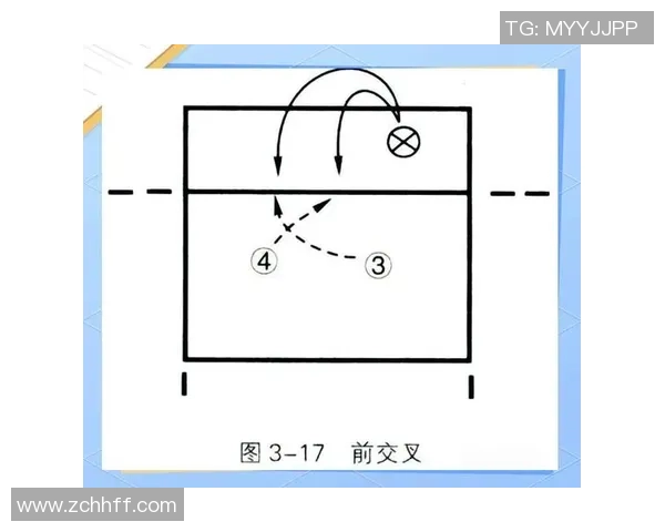 独家深度剖析西安排球队配合风格与战术对比解析 独家深度剖析西安排球队配合风格与战术对比解析