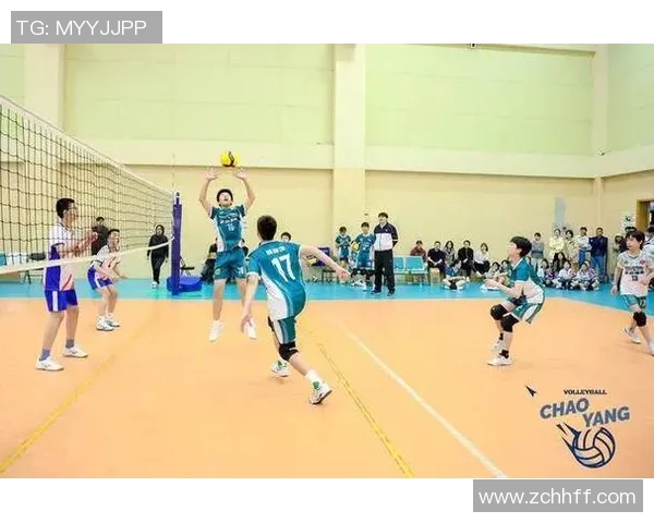 北京排球队灵活性创新高引发全国关注排球运动新趋势